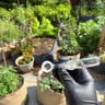 Small image 3