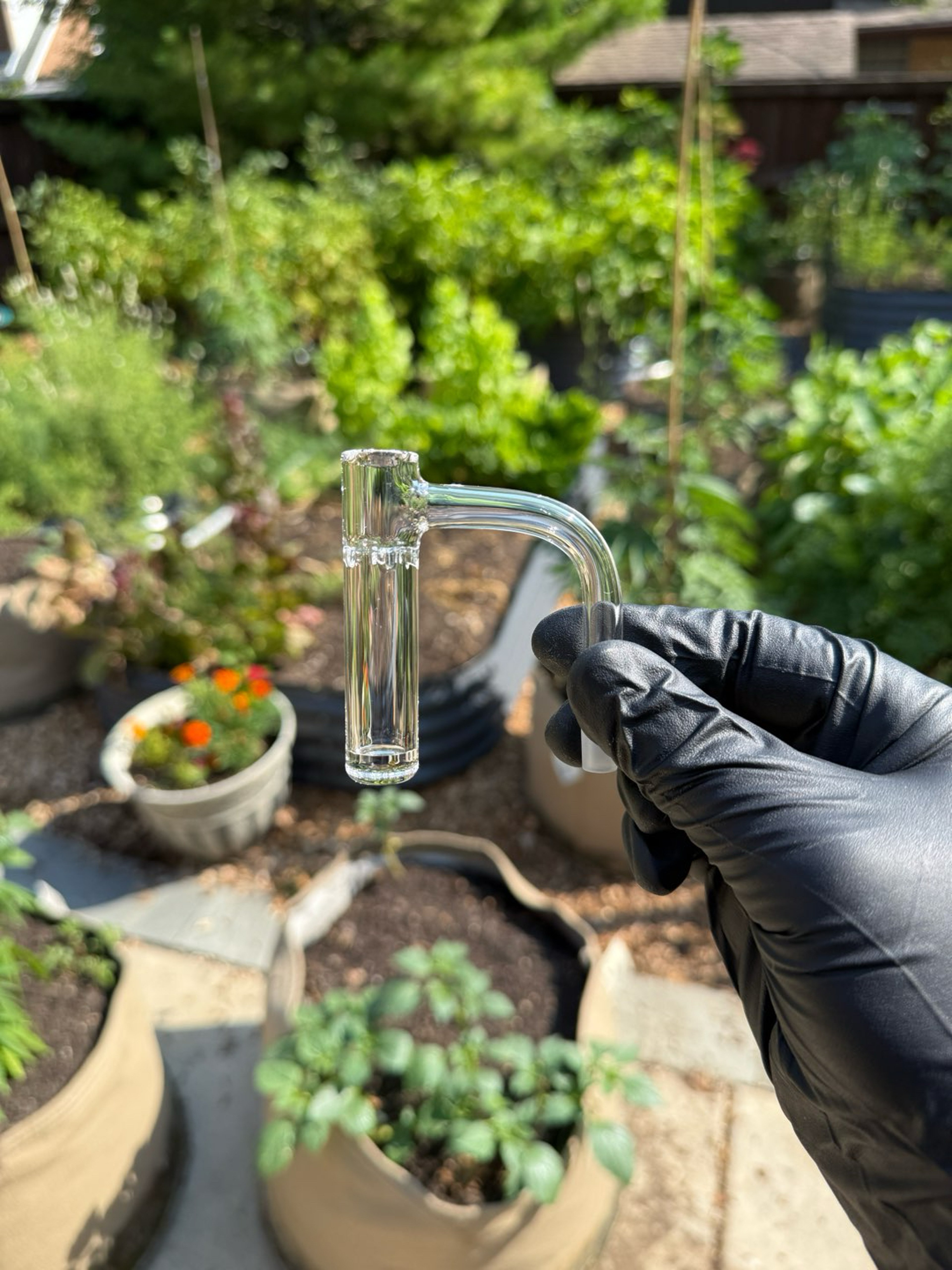 Preview pic of 10mm Globstopper, Highly Educated SE Pillar