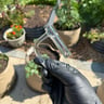 Small image 5