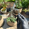 Small image 4