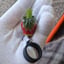 Small image 4