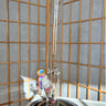 Small image 0