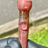 Small image 4