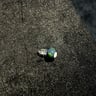 Small image 6
