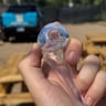 Small image 1
