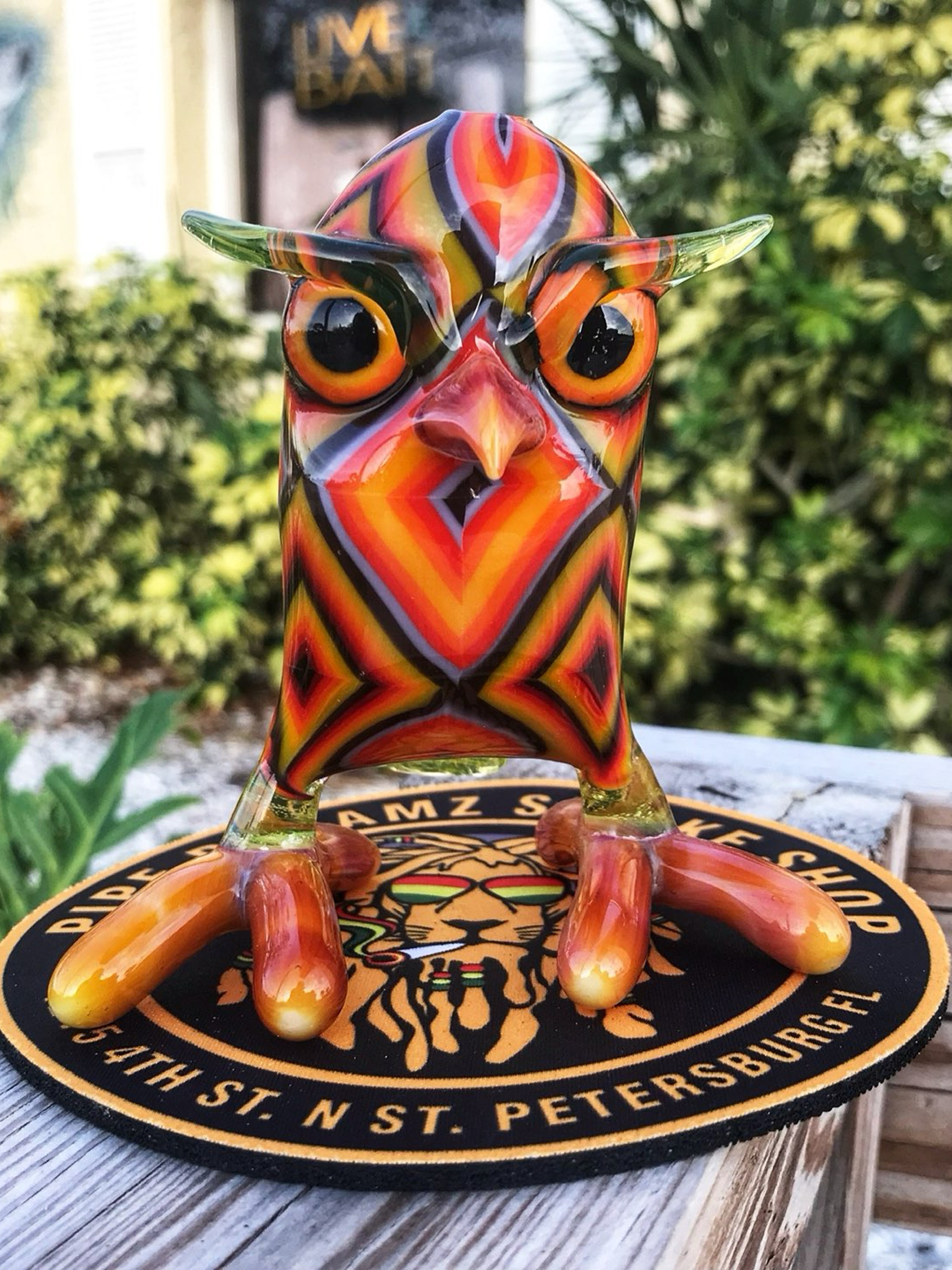 Preview pic of Shackman Owl Rig