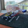 Small image 5