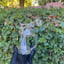 Small image 6