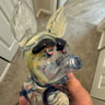 Small image 2