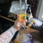 Small image 0