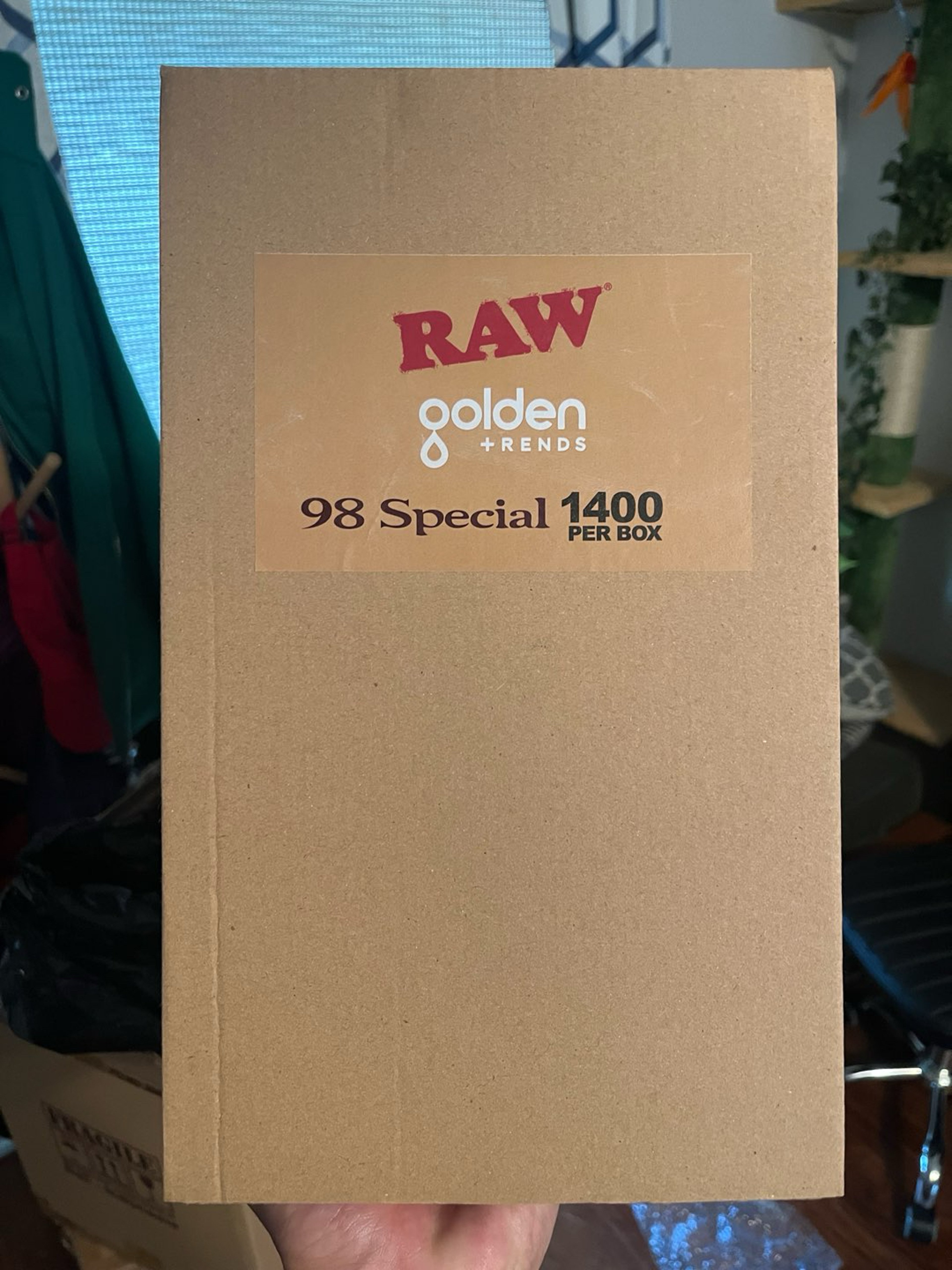Preview pic of RAW cones