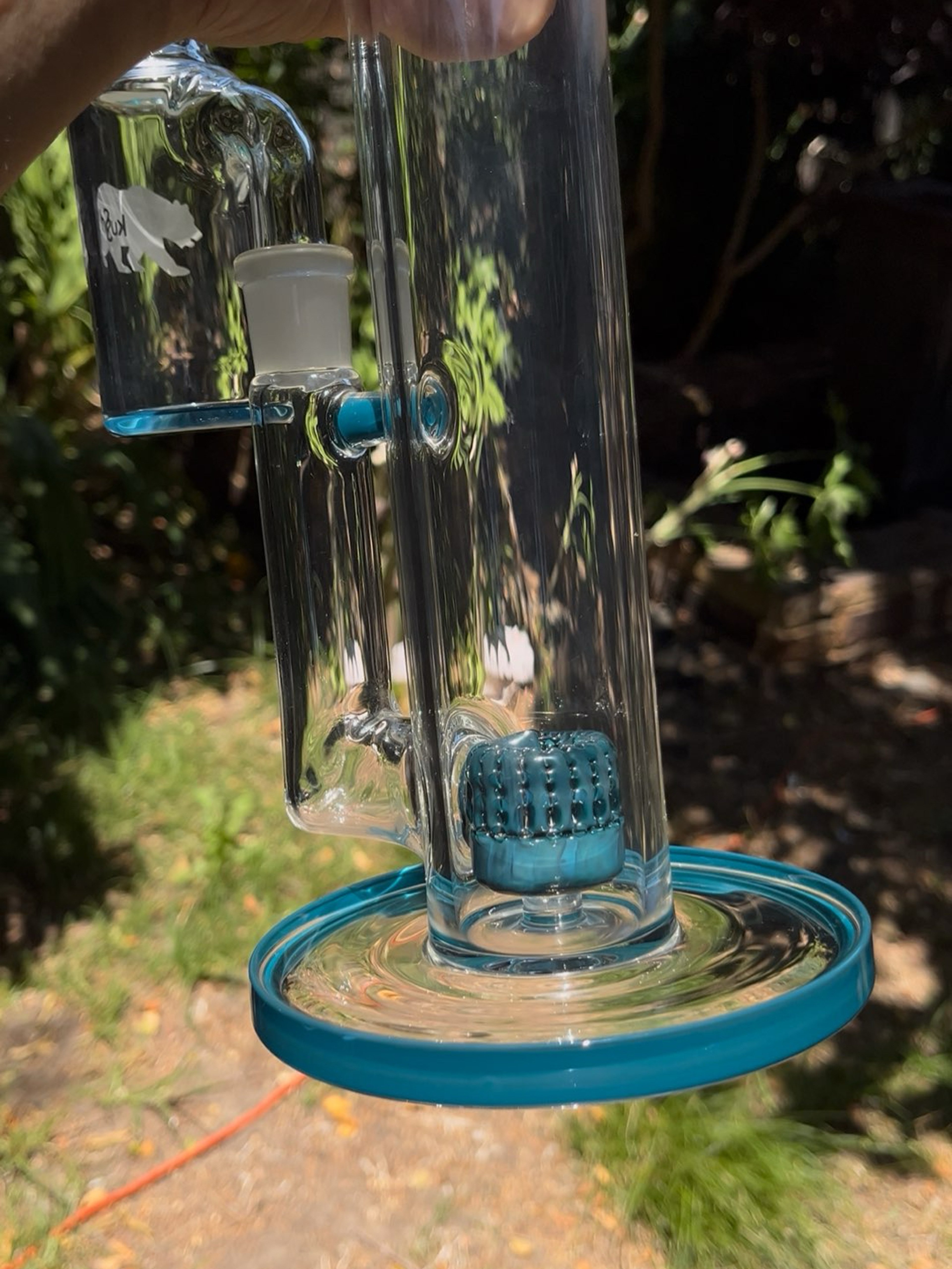 Preview pic of Kush Scientific Type 1 Blue spruce *LOCAL*