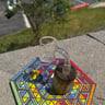 Small image 0
