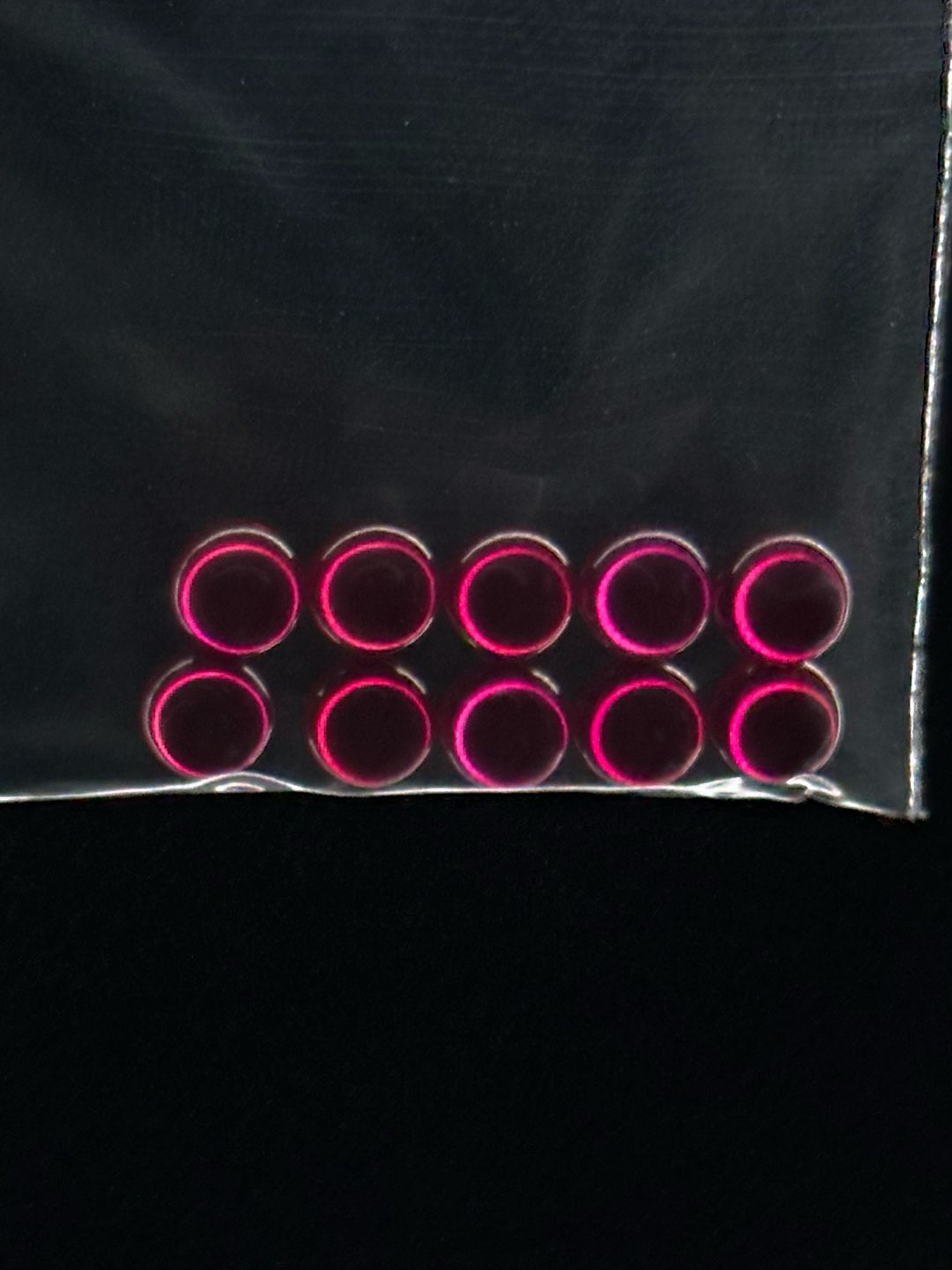 Preview pic of Ruby Terp Pearls 10 pack