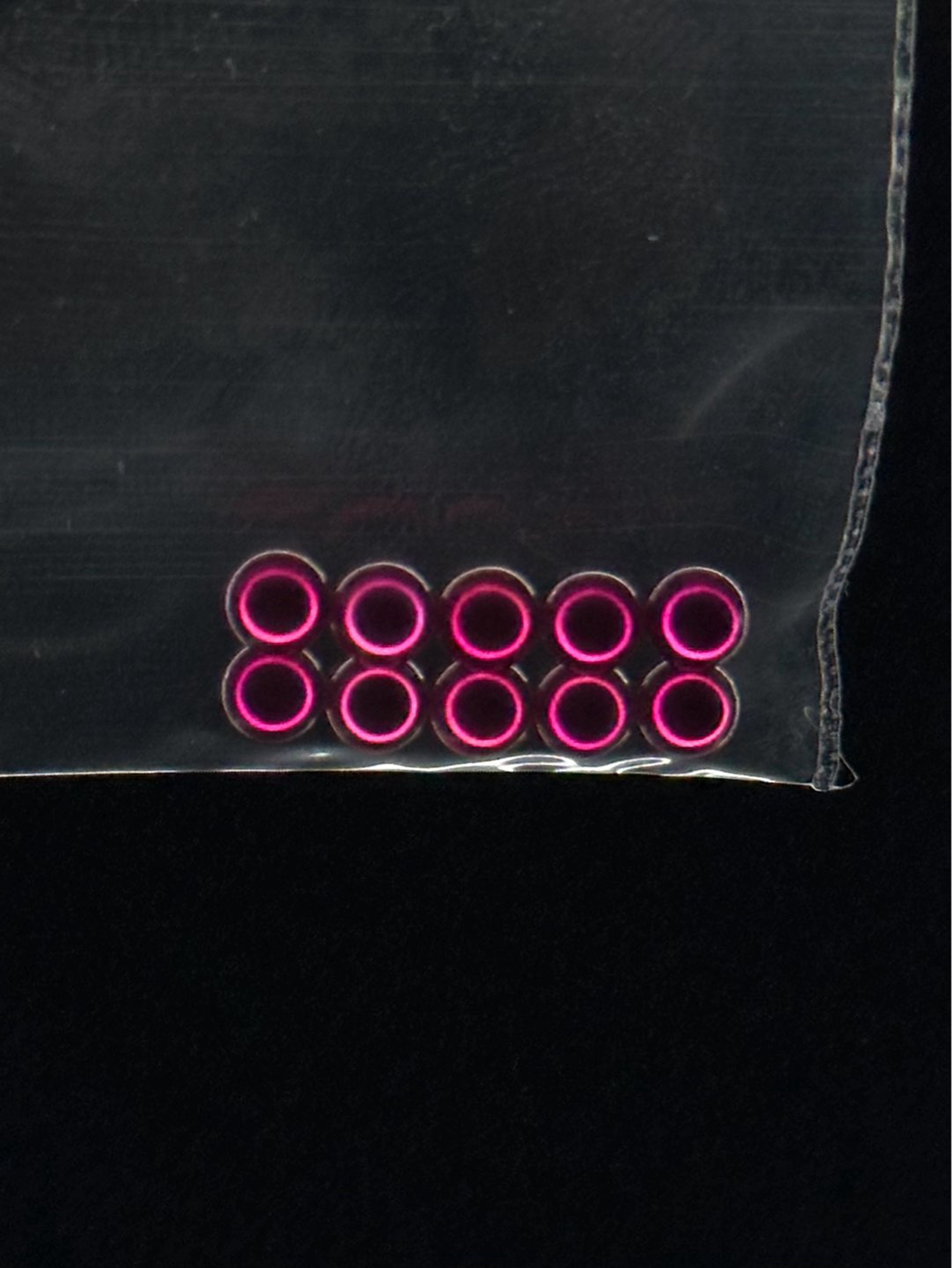 Preview pic of Ruby Terp Pearls 10 pack