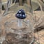 Small image 7