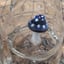 Small image 8