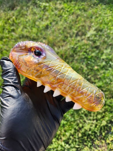 Preview pic of ADDISON HANNA GATOR