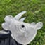 Small image 6