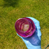 Small image 4
