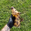 Small image 0