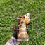 Small image 2