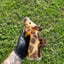 Small image 1