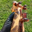Small image 6