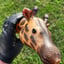 Small image 9