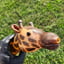 Small image 8
