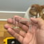 Small image 6