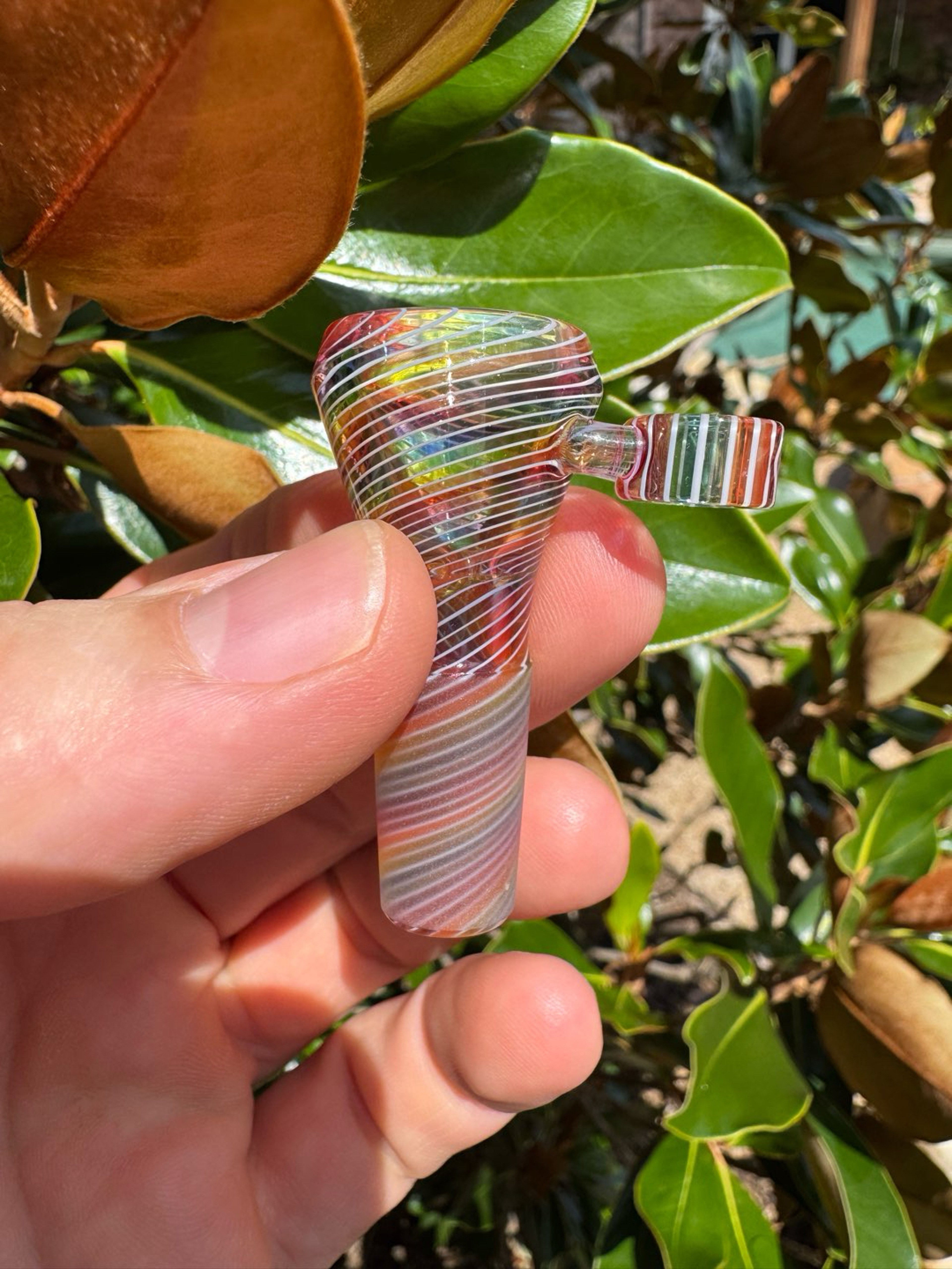 Preview pic of 2025 Shamby X Karma slide