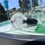 Small image 7