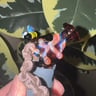 Small image 3