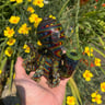 Small image 0
