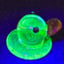 Small image 5