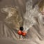 Small image 5