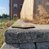 Small image 6