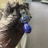Small image 1