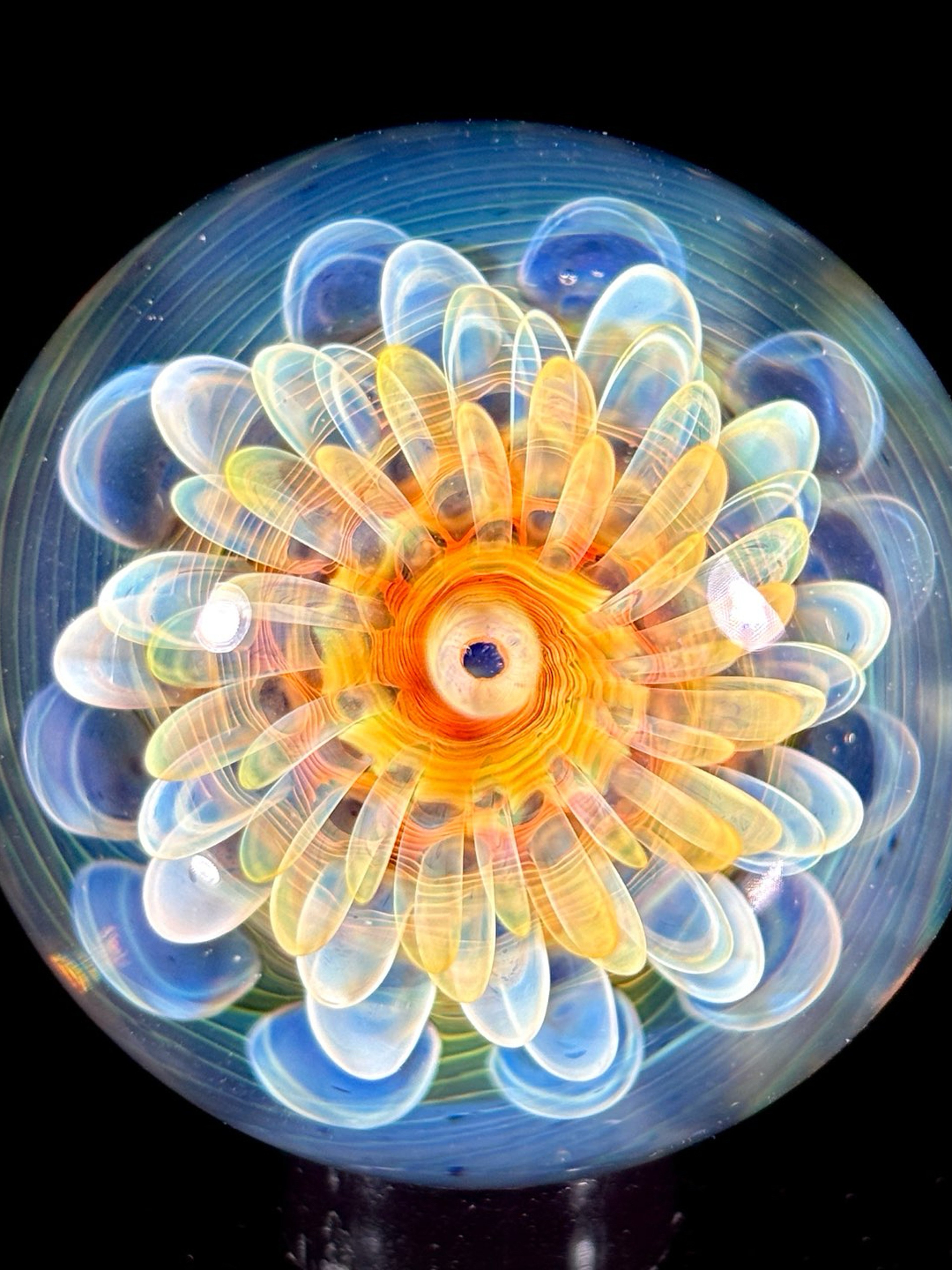 Preview pic of Fumed Sunflower