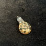 Small image 5