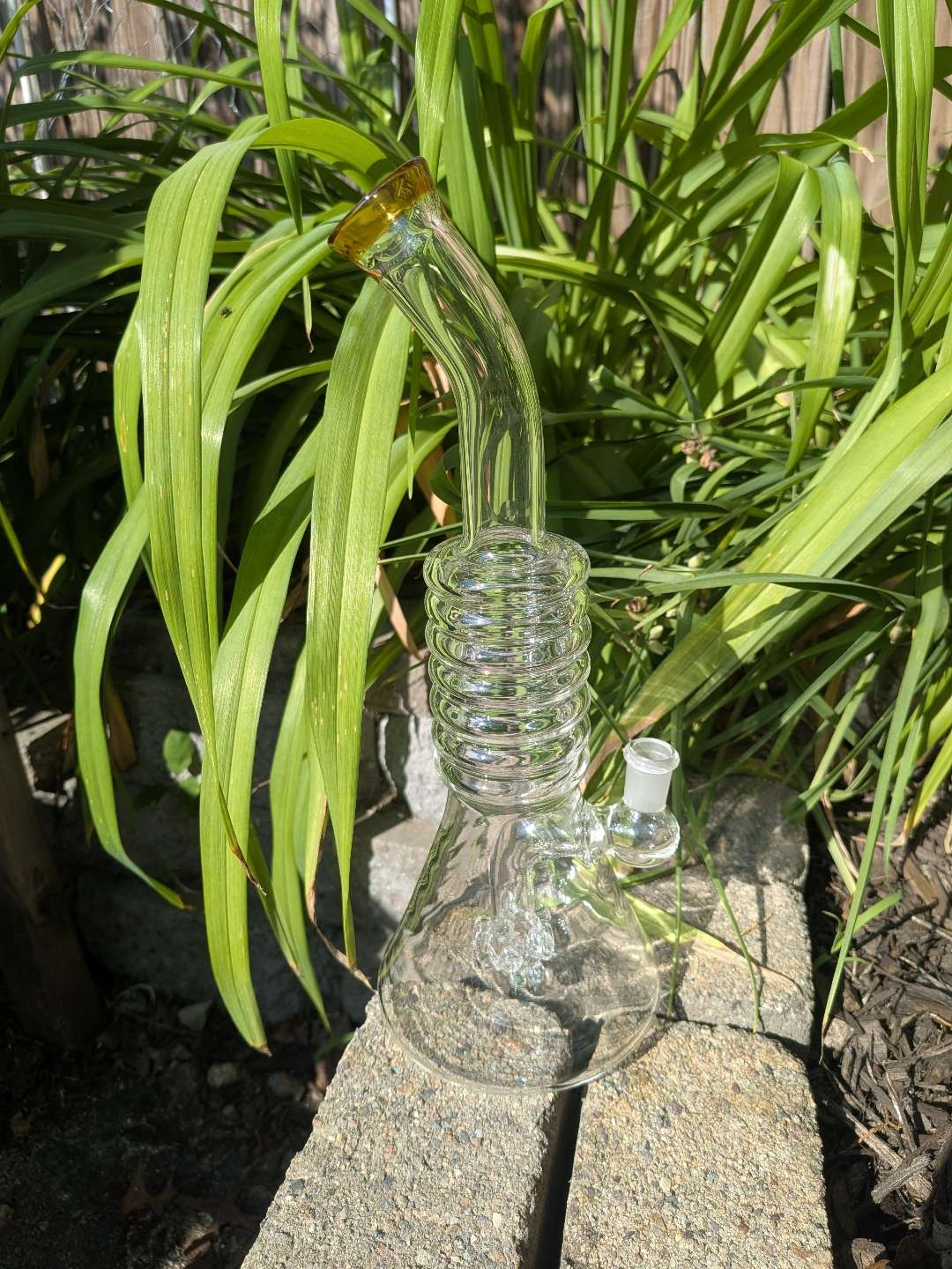 12.5" Beaker With Multi Hole Perc, Ships Free image 0