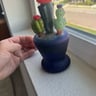 Small image 2