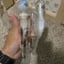 Small image 6