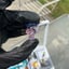 Small image 6