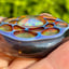 Small image 5