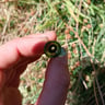 Small image 4