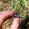 Small image 5