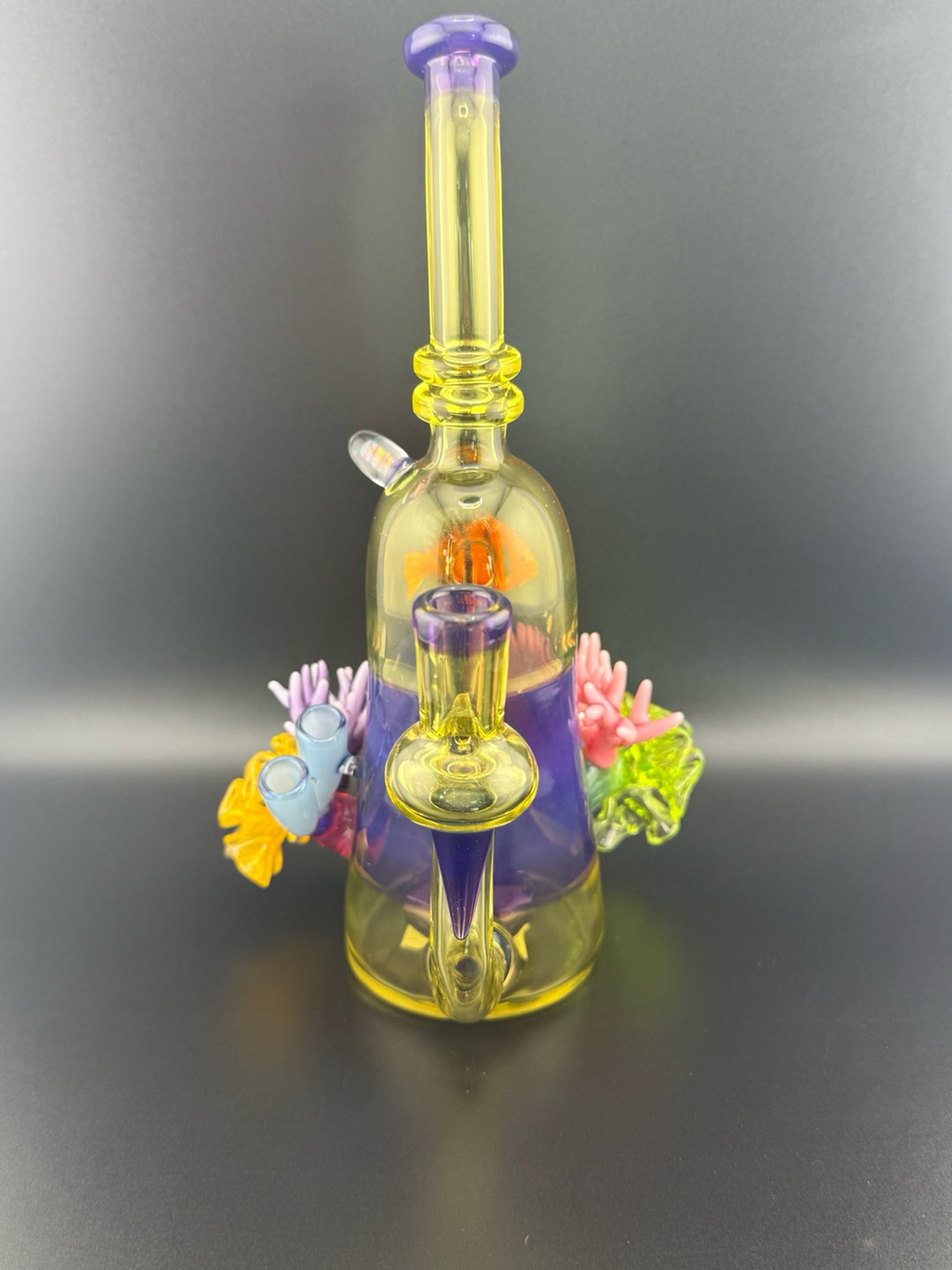 Reef Rig image 0