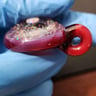 Small image 5